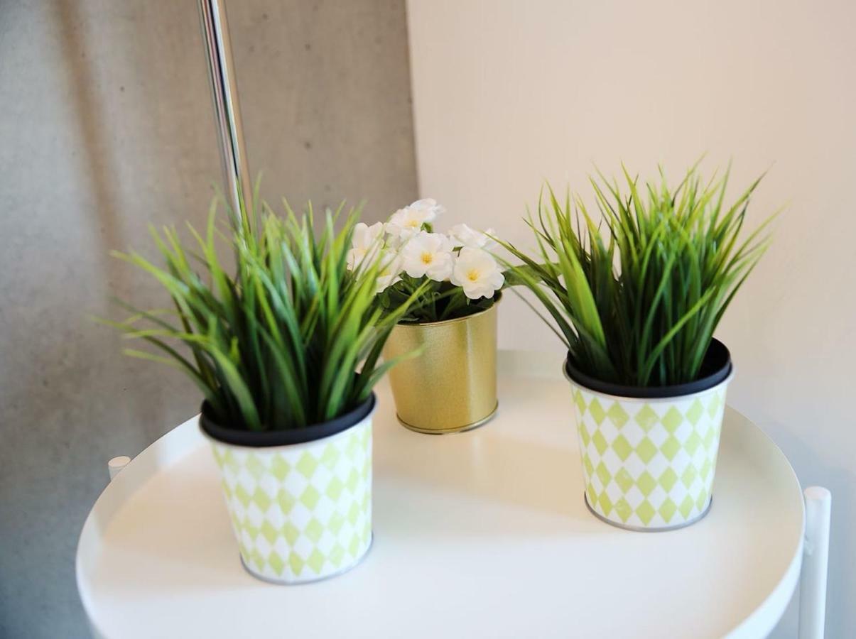 Family Studio Aveiro Apartment Екстериор снимка